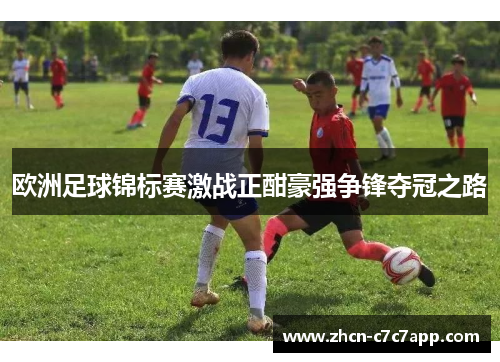 欧洲足球锦标赛激战正酣豪强争锋夺冠之路 欧洲足球锦标赛激战正酣豪强争锋夺冠之路